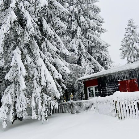 Baude Steinheid Am Rennsteig Mit 12 Betten Eksteriør billede